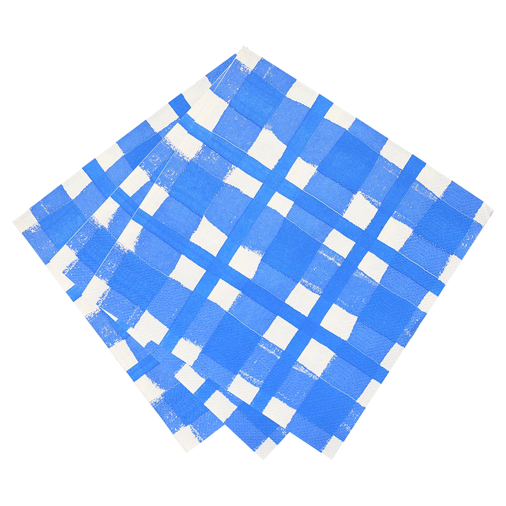 Blue &amp; White Check Paper Napkins