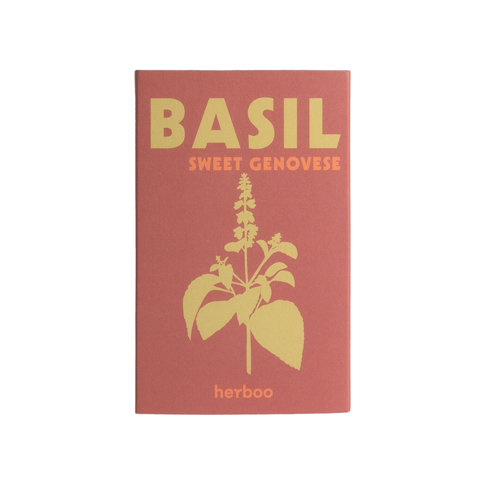 Basil &#39;Sweet Genovese&#39; Seeds
