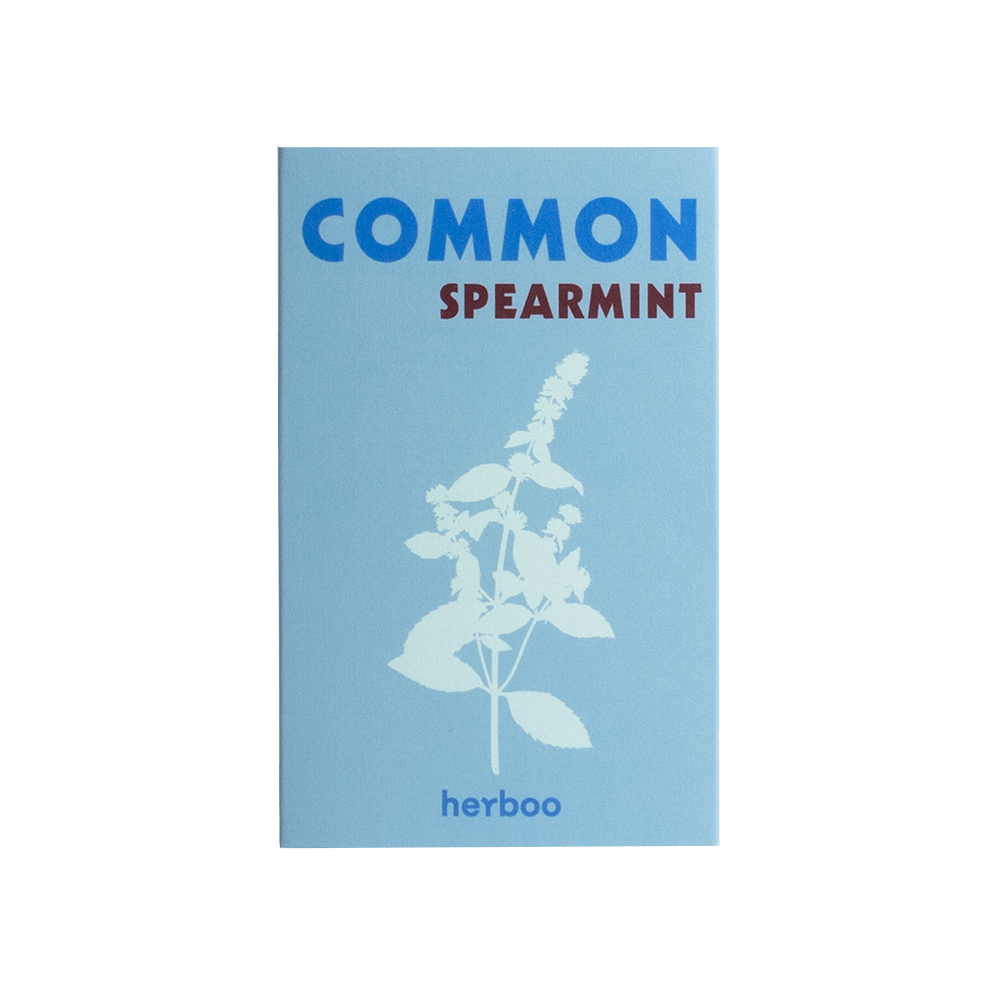 Common Spearmint Seeds