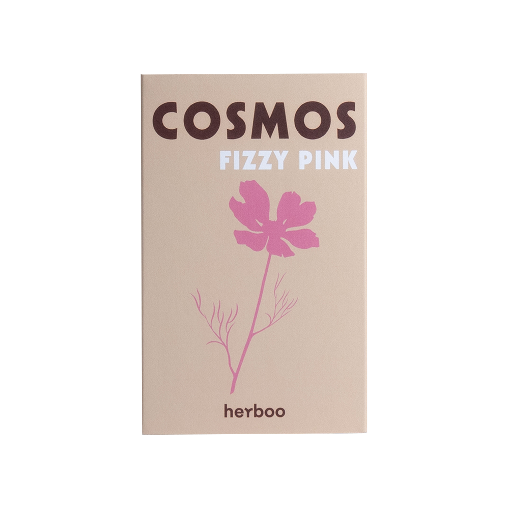 Cosmos &#39;Fizzy Pink&#39; Seeds