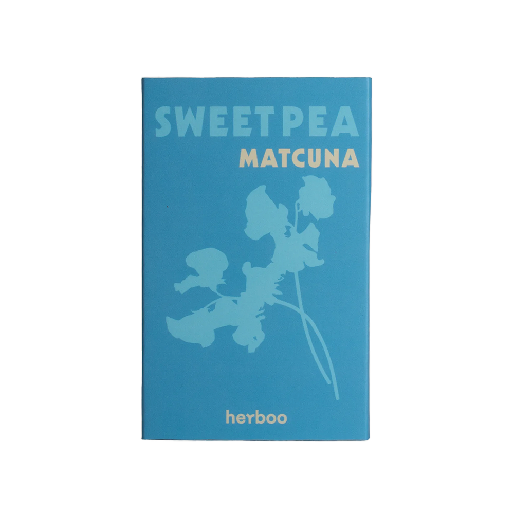 Sweet Pea &#39;Matcuna&#39; Seeds