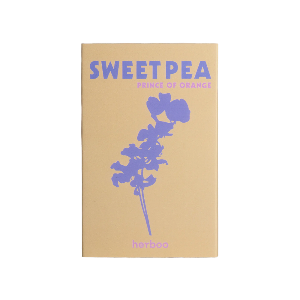 Sweet Pea &#39;Prince of Orange&#39; Seeds